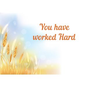 You have worked Hard