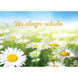 Un alegre saludo