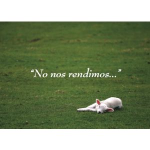 No nos rendimos...