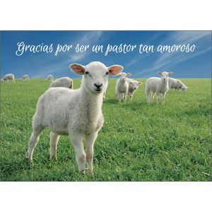 Gracias por ser un pastor tan amoroso