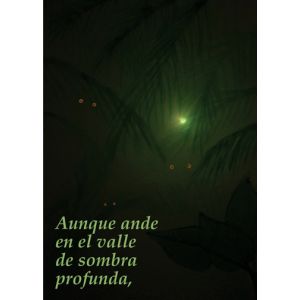 Aunque ande en el valle de sombra profunda,