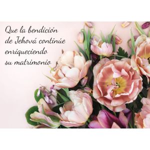 Que la bendición de Jehová continúe enriqueciendo su matrimonio